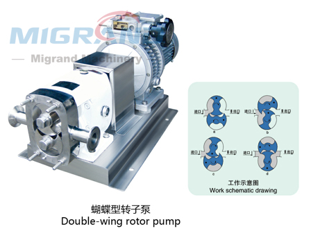 GD-150A Feeding pump (rotor pump)-1 GD-150A Pompă de alimentare (pompa cu rotor)-1